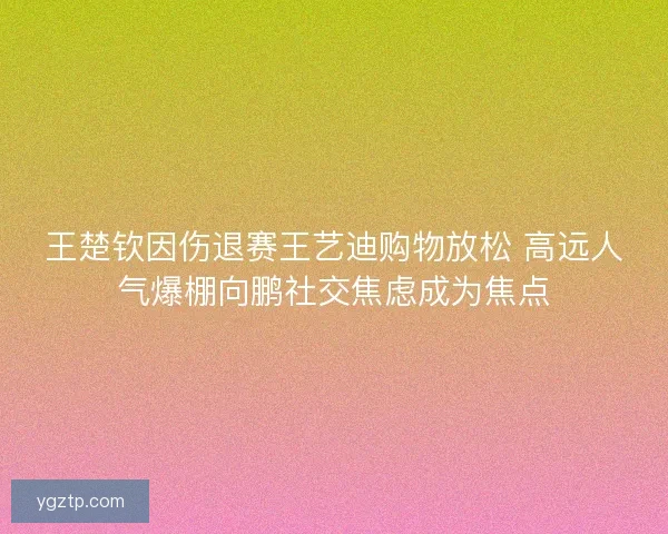 王楚钦因伤退赛王艺迪购物放松 高远人气爆棚向鹏社交焦虑成为焦点