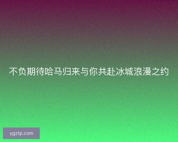 不负期待哈马归来与你共赴冰城浪漫之约